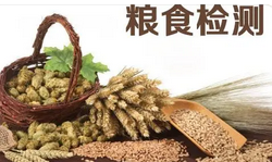 糧食檢測(cè)儀器有哪些？